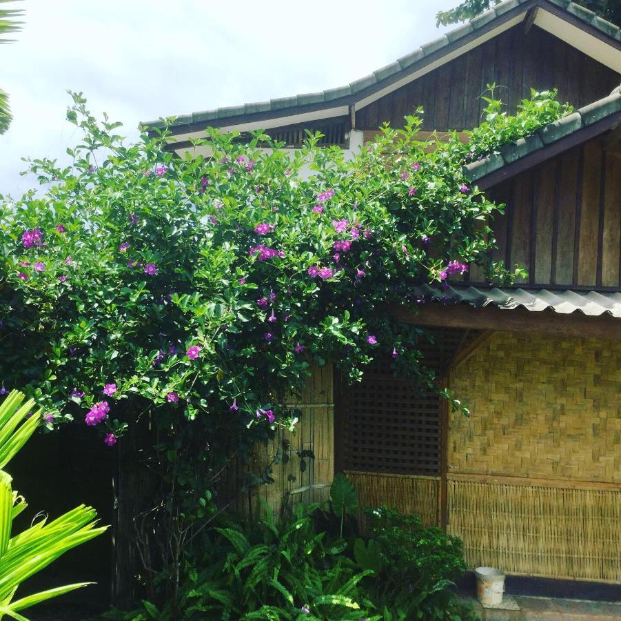 Phoxay Ngam Resort Vang Vieng Eksteriør billede